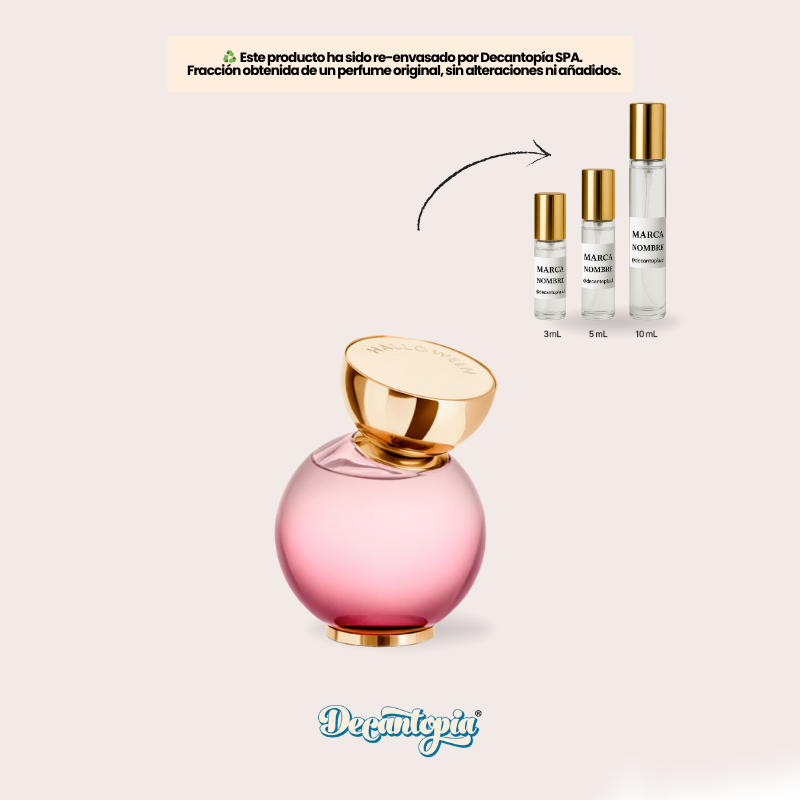 DECANT HALLOWEEN - MY WISH