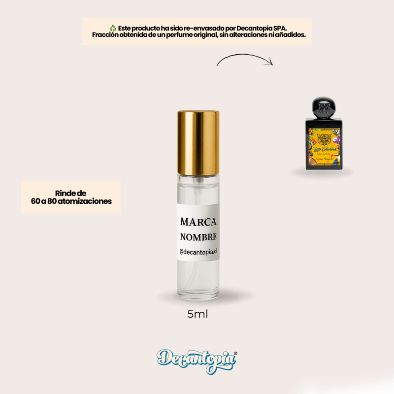 DECANT LORENZO PAZZAGLIA - QUE CHIMBA