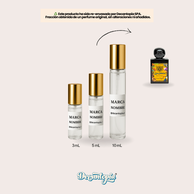 DECANT LORENZO PAZZAGLIA - QUE CHIMBA