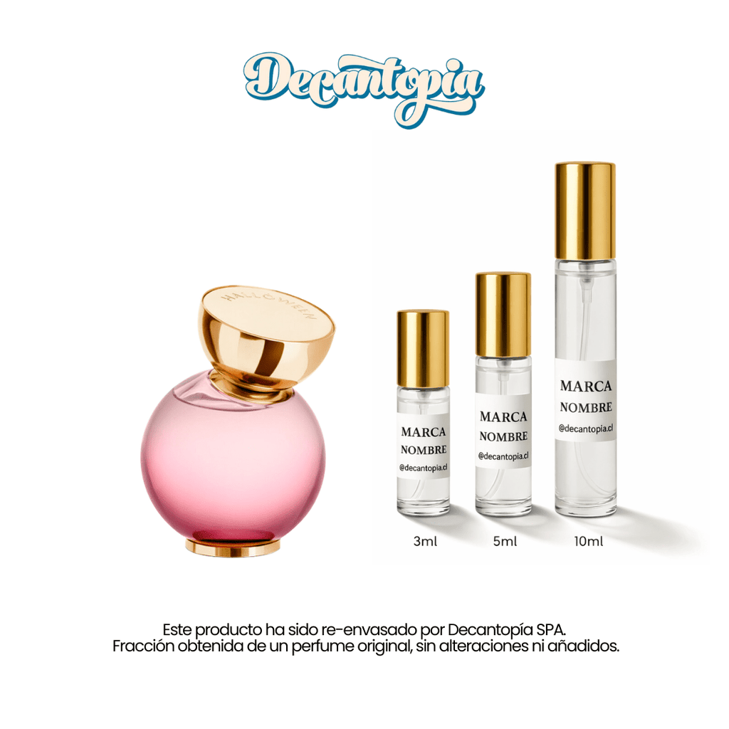 DECANT HALLOWEEN - MY WISH - Decantopia