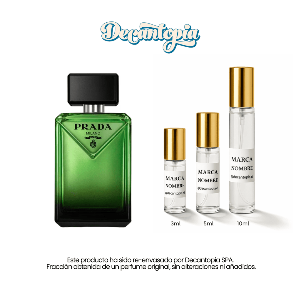 DECANT PRADA - PARADIGME - Decantopia